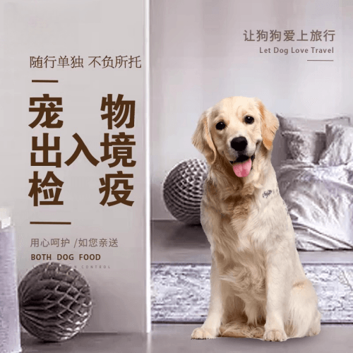 惠州宠物托运到哥伦比亚猫狗宠物入境规定和
