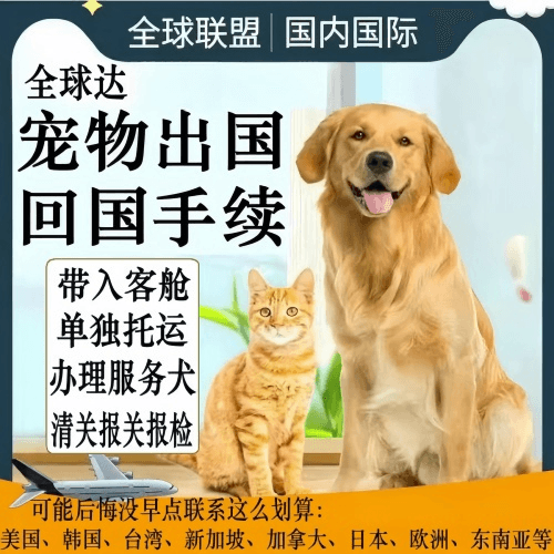 惠州宠物托运到柬埔寨宠物入境规定和要求
