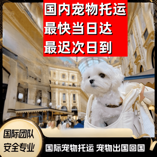 惠州到澳大利亚（澳洲）宠物入境规定和要求